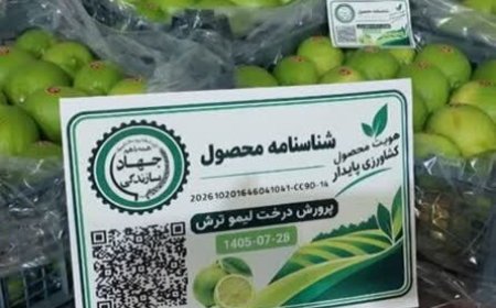 نصب کد QR روی خرما و لیموترش فارس برای نخستین بار