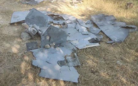 انهدام یک فروند پهپاد لوکاس با آتش پدافند هوایی ارتش در بندرعباس