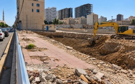 قطع درختان کهن گل‌ابریشم در بندرعباس؛ جریمه، جای سایه‌ها را نمی‌گیرد