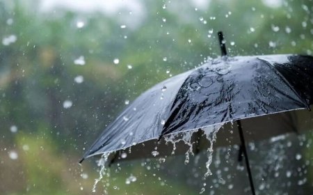 احتمال بارش باران در استان بوشهر از اواخر هفته