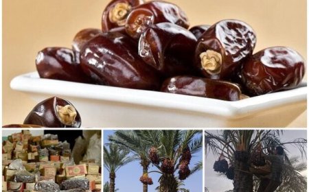خرمای ارم در مسیر جهانی‌شدن؛لزوم عبور از خام‌فروشی و رونق صنایع تبدیلی