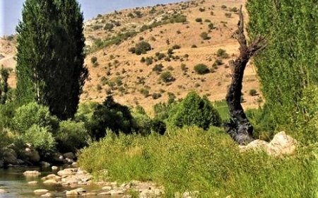 روزی برای پاسبانان طبیعت سبز