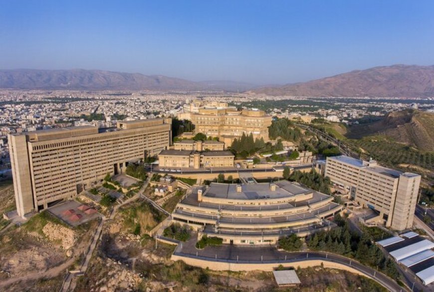 ۵۷ پژوهشگر دانشگاه شیراز در فهرست ۲ درصد برتر دنیا