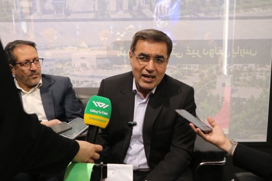 معاون استاندار فارس: سرمایه‌گذاری‌ها باید به تکمیل زنجیره تولید منجر شود