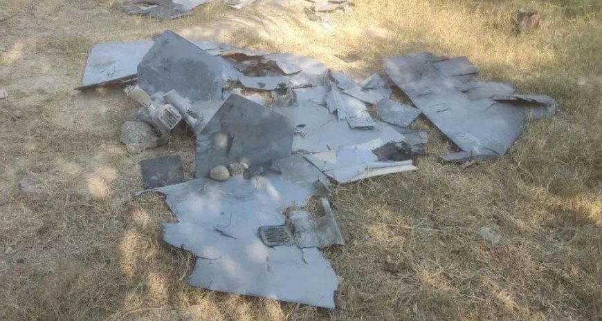 انهدام یک فروند پهپاد لوکاس با آتش پدافند هوایی ارتش در بندرعباس