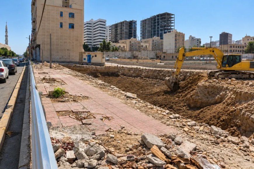 قطع درختان کهن گل‌ابریشم در بندرعباس؛ جریمه، جای سایه‌ها را نمی‌گیرد