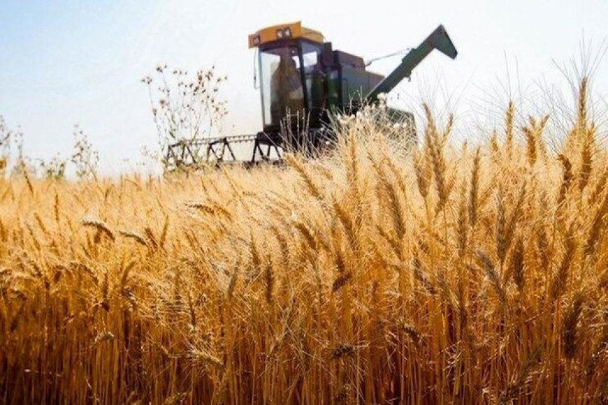 ۵ جواز تأسیس صنایع تبدیلی در خوزستان صادر شد